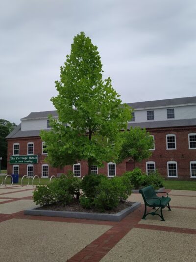 Heritage Park - Amesbury, MA