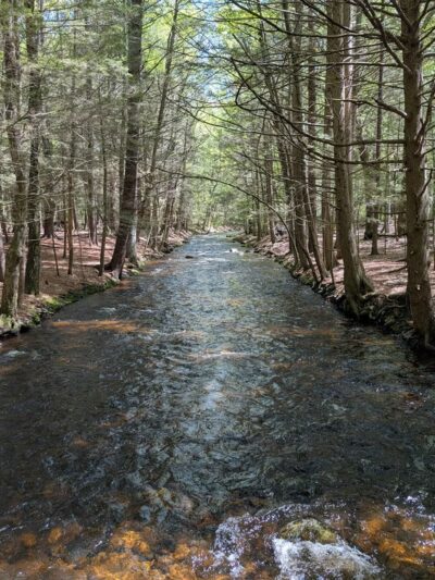 Amethyst Brook Conservation Area - Amherst, MA