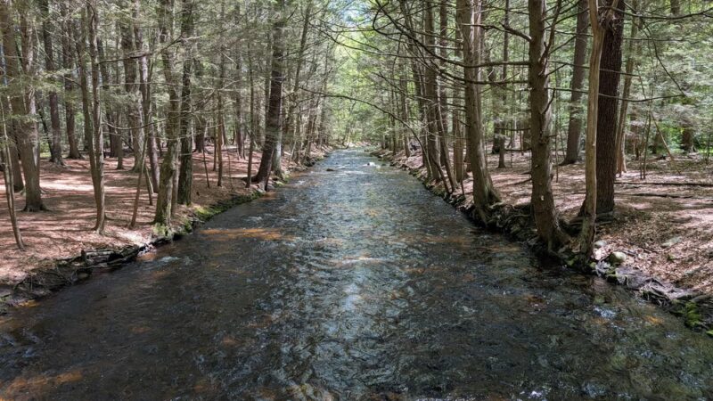 Amethyst Brook Conservation Area - Amherst, MA