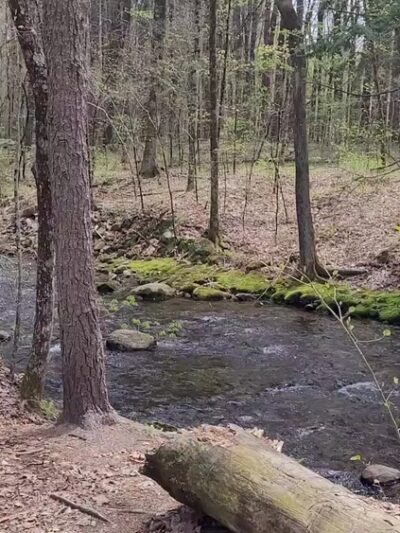 Amethyst Brook Conservation Area - Amherst, MA