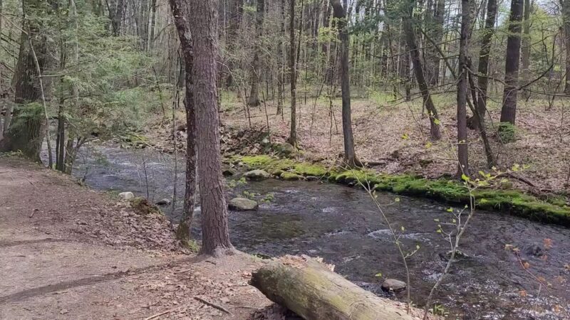Amethyst Brook Conservation Area - Amherst, MA