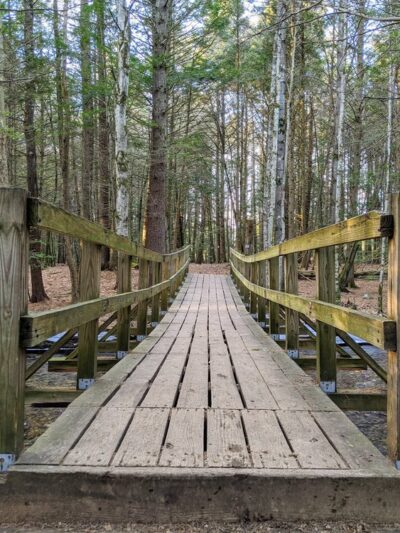 Amethyst Brook Conservation Area - Amherst, MA