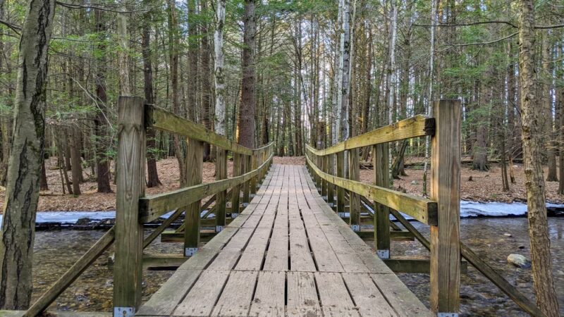 Amethyst Brook Conservation Area - Amherst, MA