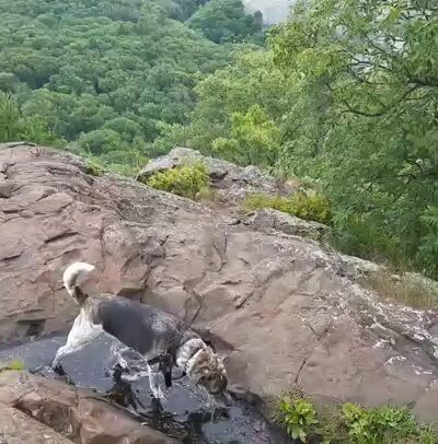 Mount Holyoke Range State Park - Amherst, MA