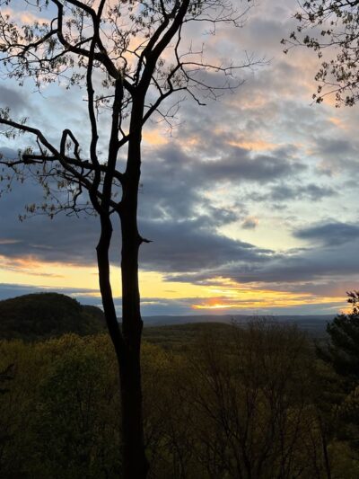 Sweet Alice Conservation Area - Amherst, MA