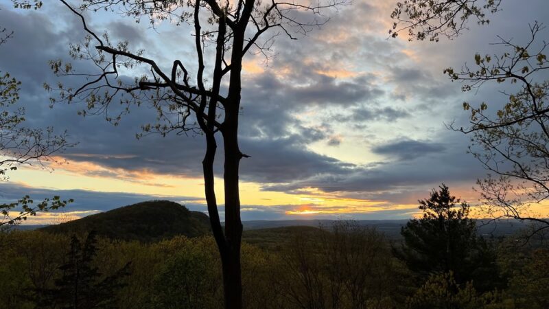 Sweet Alice Conservation Area - Amherst, MA