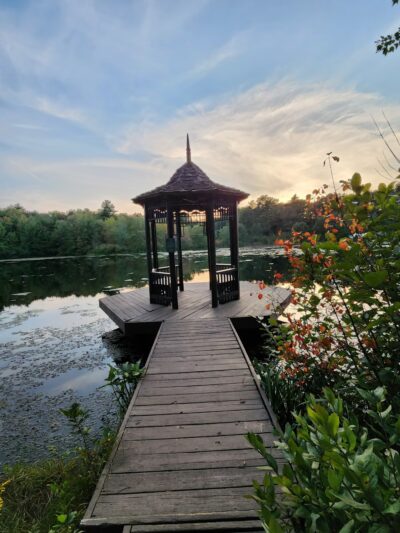 Sweet Alice Conservation Area - Amherst, MA