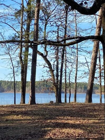 Alpine Ridge Recreation Area - Amity, AR