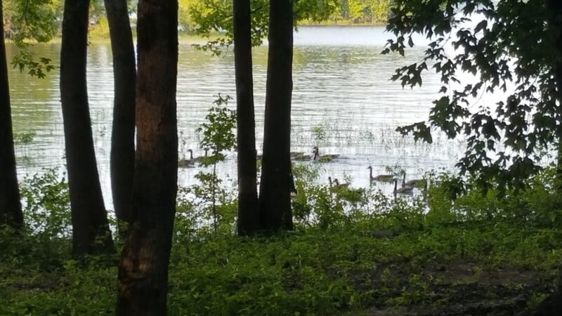 Alpine Ridge Recreation Area - Amity, AR