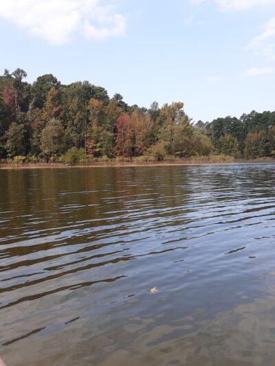 Alpine Ridge Recreation Area - Amity, AR