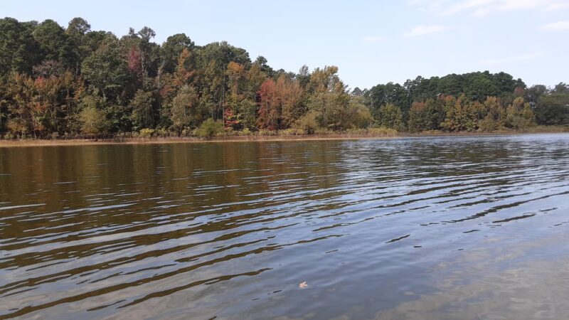 Alpine Ridge Recreation Area - Amity, AR