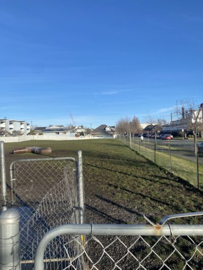 Dog Park - Anacortes, WA