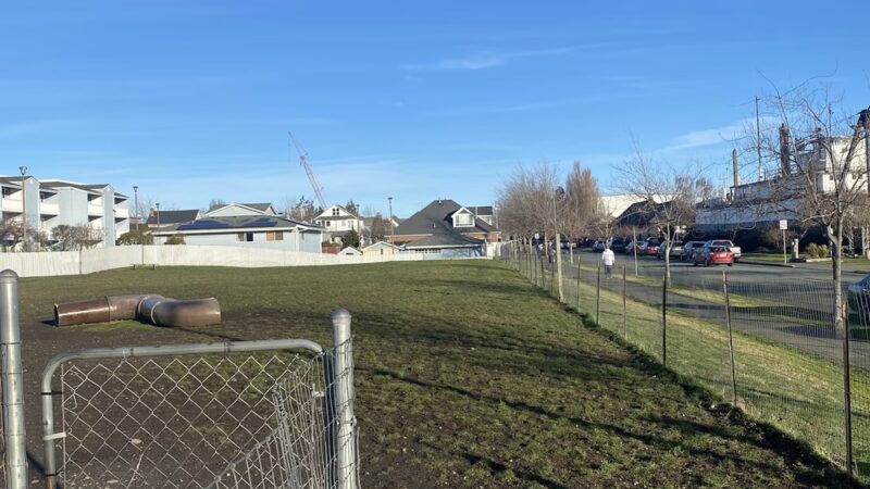 Dog Park - Anacortes, WA