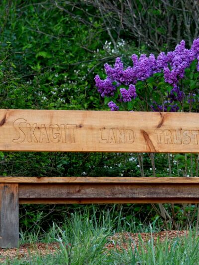 Dog Woods of Guemes - Anacortes, WA