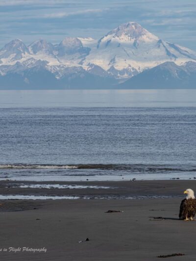 Anchor River State Recreation Area - Anchor Point, AK