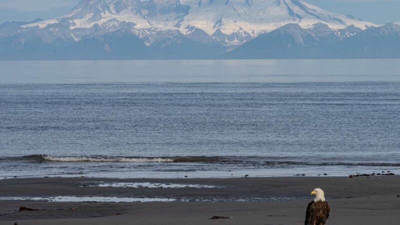 Anchor River State Recreation Area - Anchor Point, AK