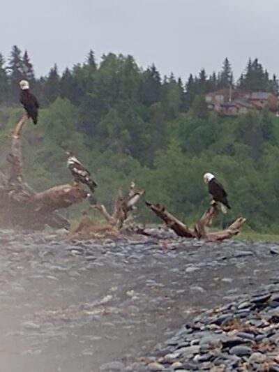 Behive R.V. park and lodge - Anchor Point, AK