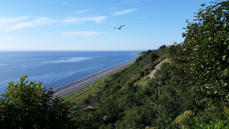 Stariski Campground - Anchor Point, AK