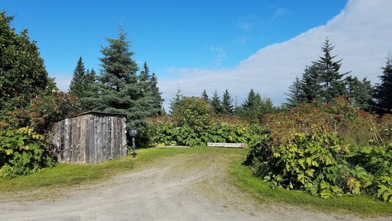 Stariski Campground - Anchor Point, AK