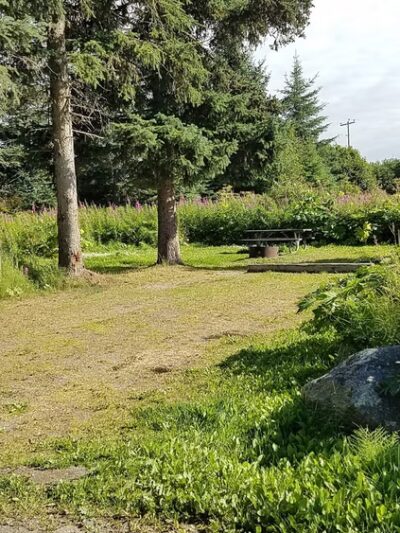 Stariski Campground - Anchor Point, AK
