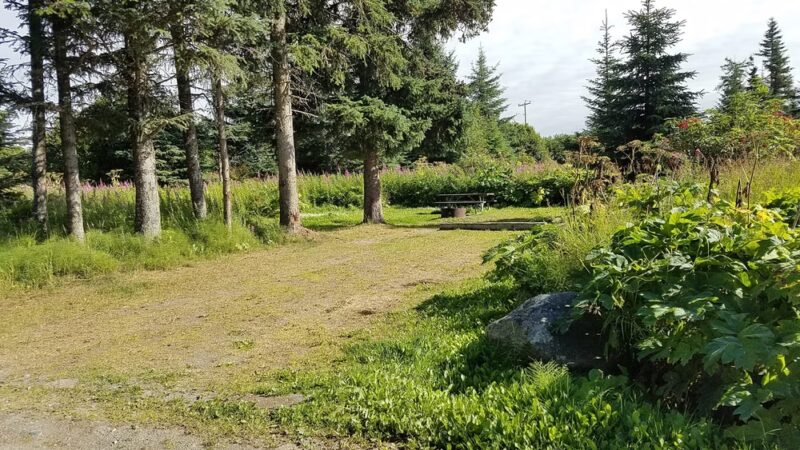 Stariski Campground - Anchor Point, AK