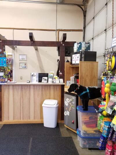 Alaska K9 Aquatics - Anchorage, AK