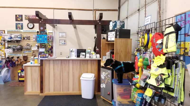 Alaska K9 Aquatics - Anchorage, AK