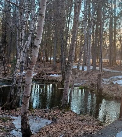Russian Jack Springs Park South - Anchorage, AK