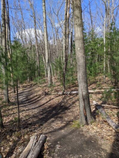 Carmel Woods Trail - Andover, MA