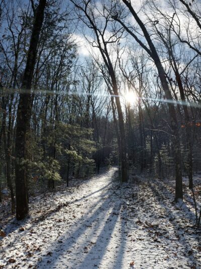 Carmel Woods Trail - Andover, MA