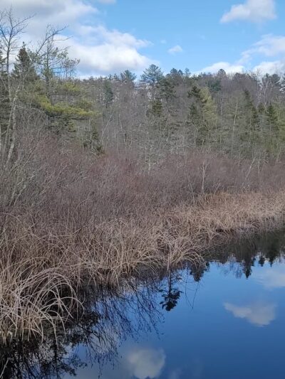 Charles W. Ward Reservation - Andover, MA