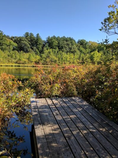 Charles W. Ward Reservation - Andover, MA