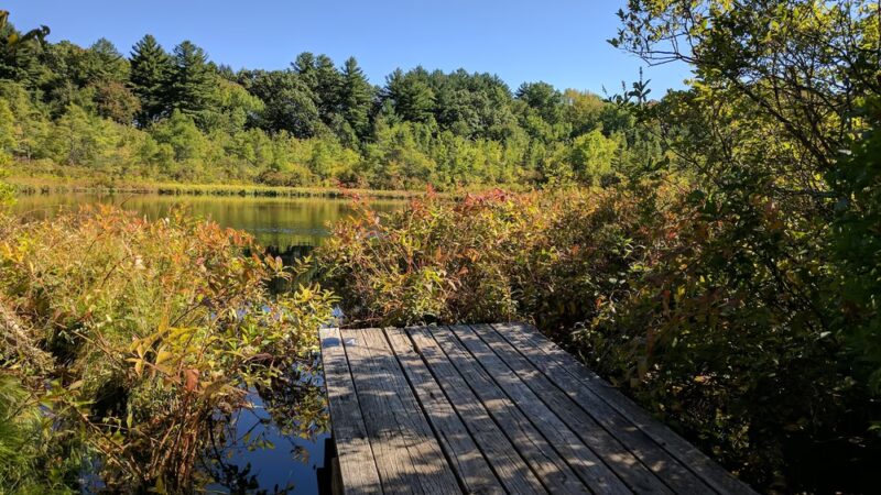 Charles W. Ward Reservation - Andover, MA