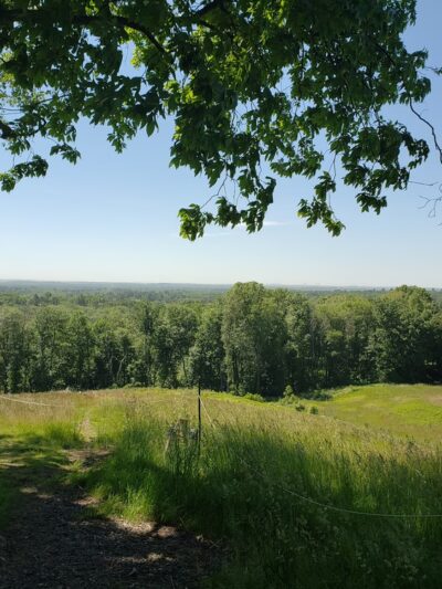 Charles W. Ward Reservation - Andover, MA