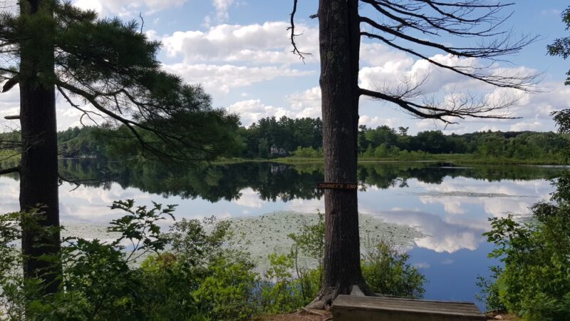 Goldsmith Woodlands - Andover, MA