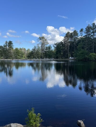 Harold Parker State Forest - Andover, MA