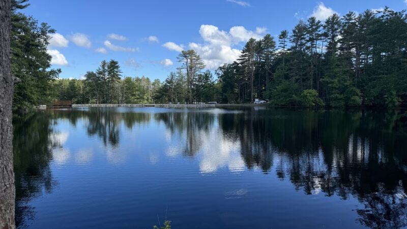 Harold Parker State Forest - Andover, MA