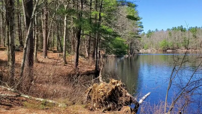 Harold Parker State Forest - Andover, MA