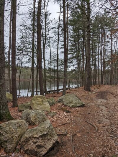 Harold Parker State Forest - Andover, MA