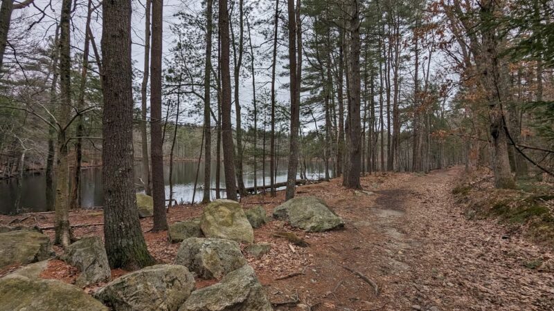 Harold Parker State Forest - Andover, MA