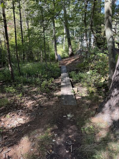 Harold Parker State Forest - Andover, MA