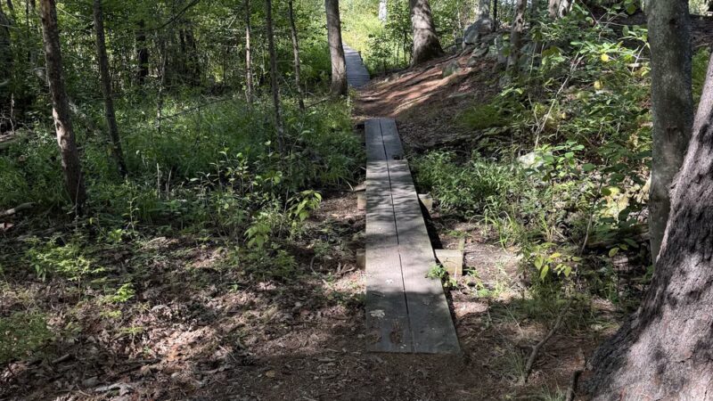 Harold Parker State Forest - Andover, MA