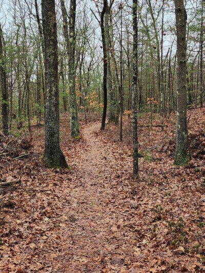 Peggy Keck Reservation - Andover, MA