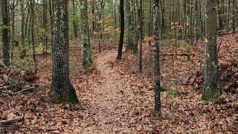 Peggy Keck Reservation - Andover, MA