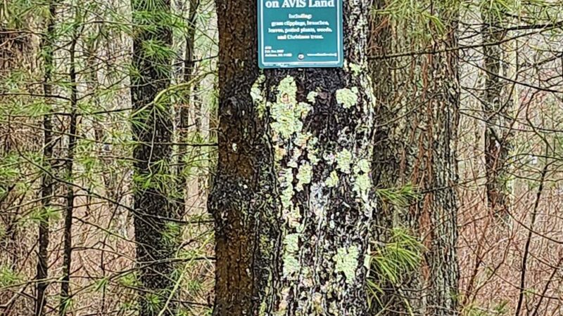 Peggy Keck Reservation - Andover, MA