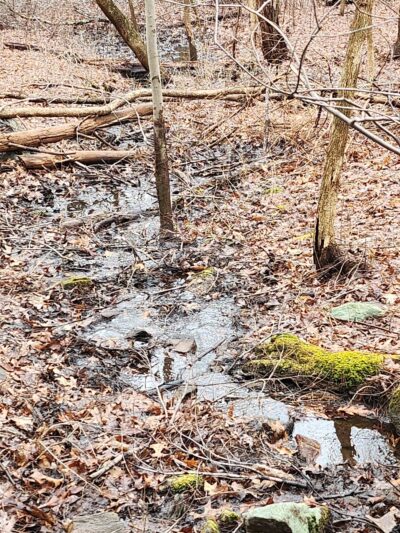 Peggy Keck Reservation - Andover, MA