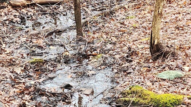 Peggy Keck Reservation - Andover, MA