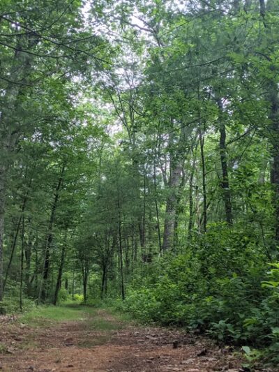 Peggy Keck Reservation - Andover, MA