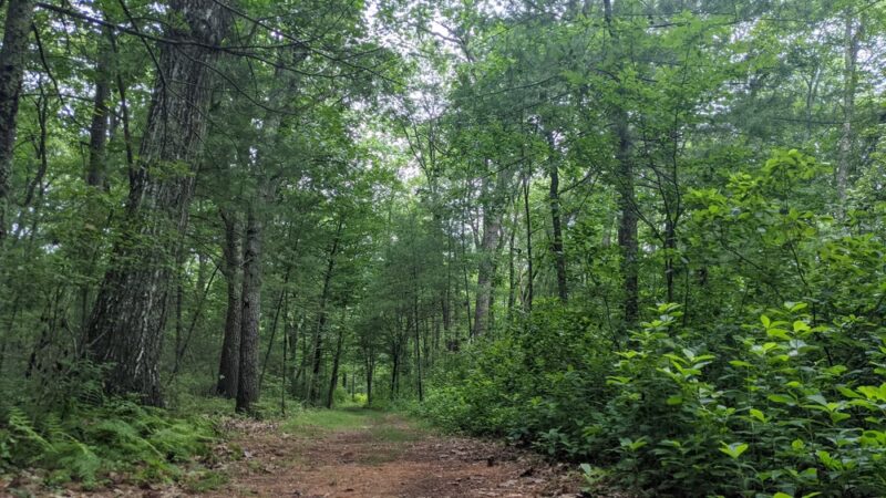 Peggy Keck Reservation - Andover, MA