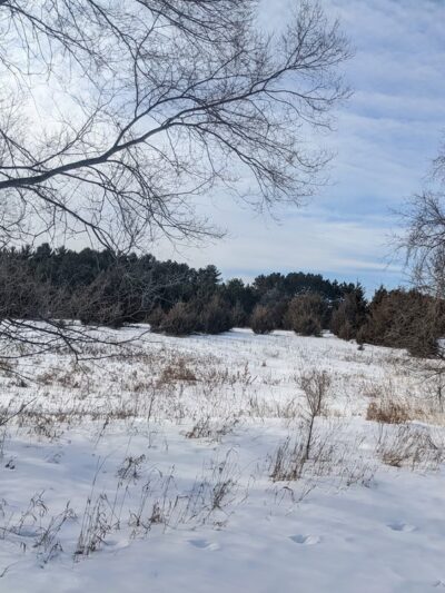Shady Knoll Park - Andover, MN